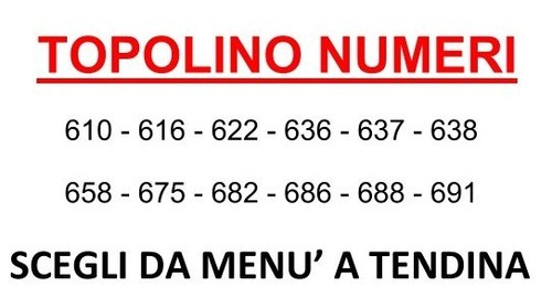 Topolino 610 691 vari - topolino,