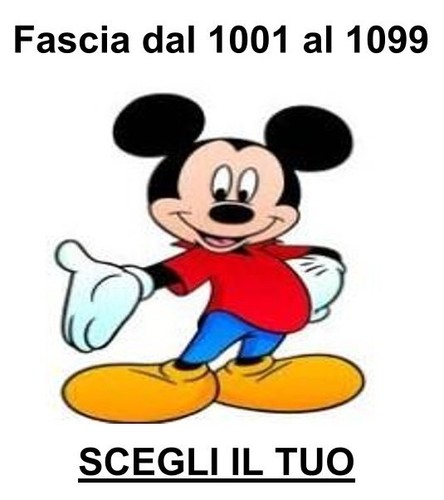 Topolino nuovi fascia - -,